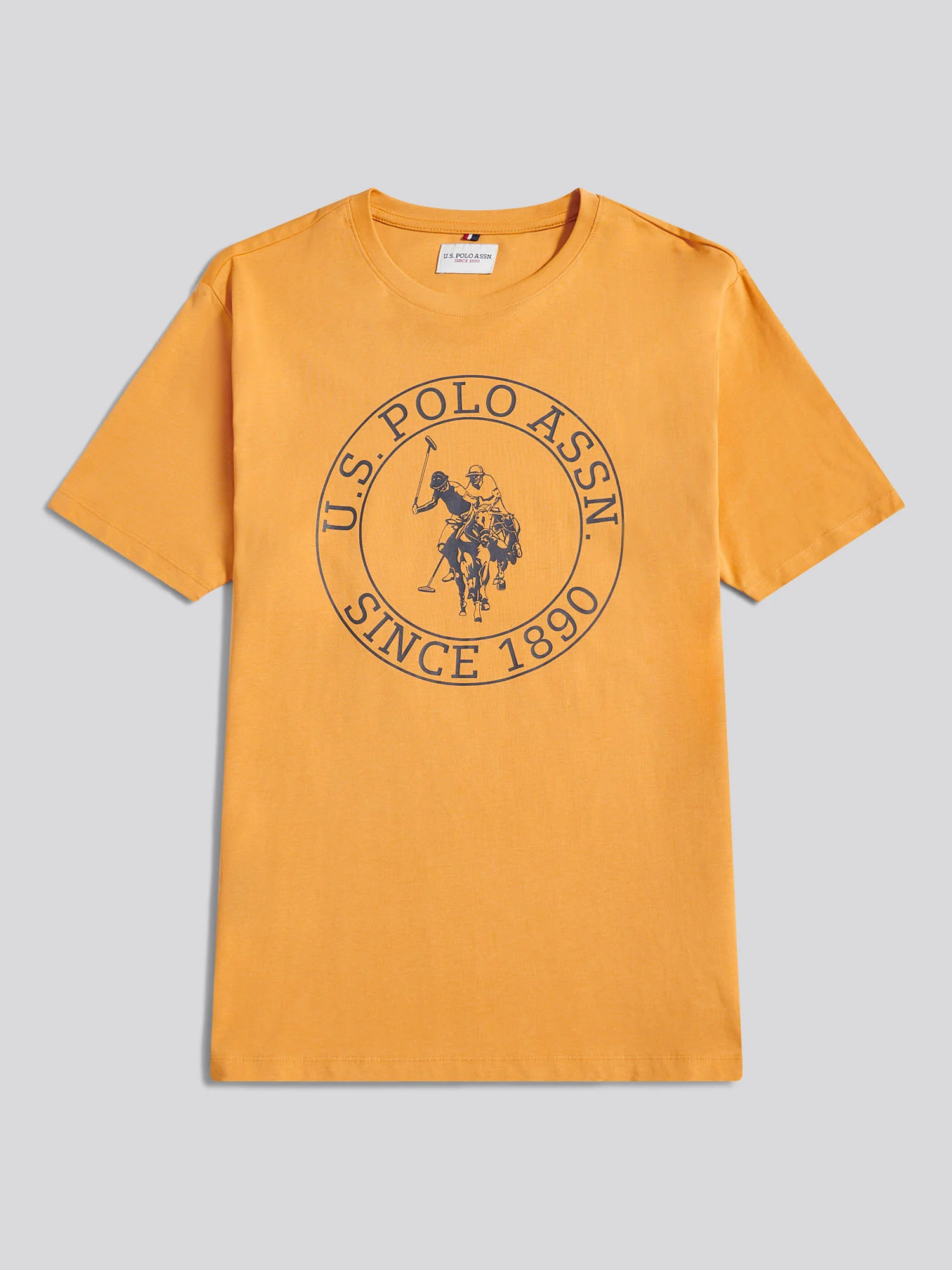 T-shirt mrówek USPA Circle Print w Złotej moreli - Image 5